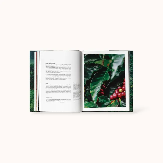 Terroir - Jem Challender / Barista Hustle | Boek