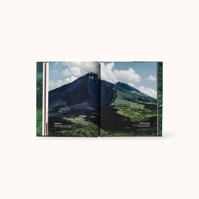 Terroir - Jem Challender / Barista Hustle | Boek