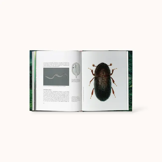 Terroir - Jem Challender / Barista Hustle | Book