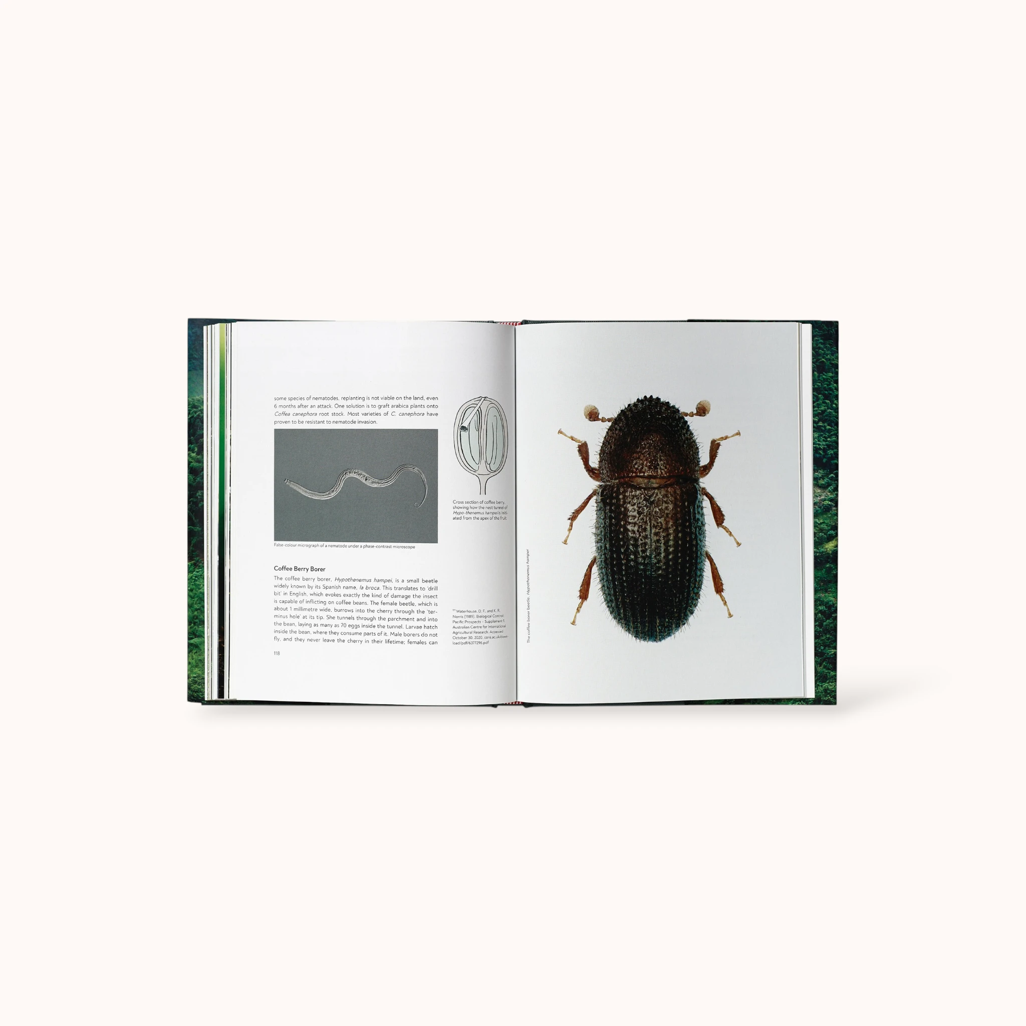 Terroir - Jem Challender / Barista Hustle | Boek