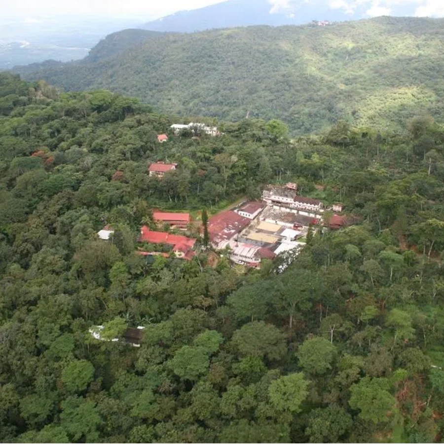 Finca Irlanda