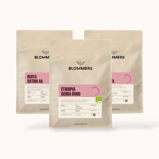Tasting Package - Filter | Single Origin Coffee