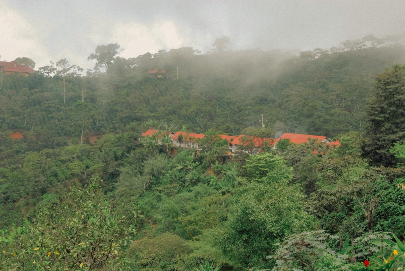 Uitzicht over de beboste heuvels van Finca Irlanda in de mist