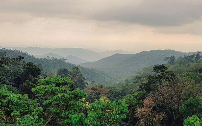 Finca Irlanda: where it all started for us
