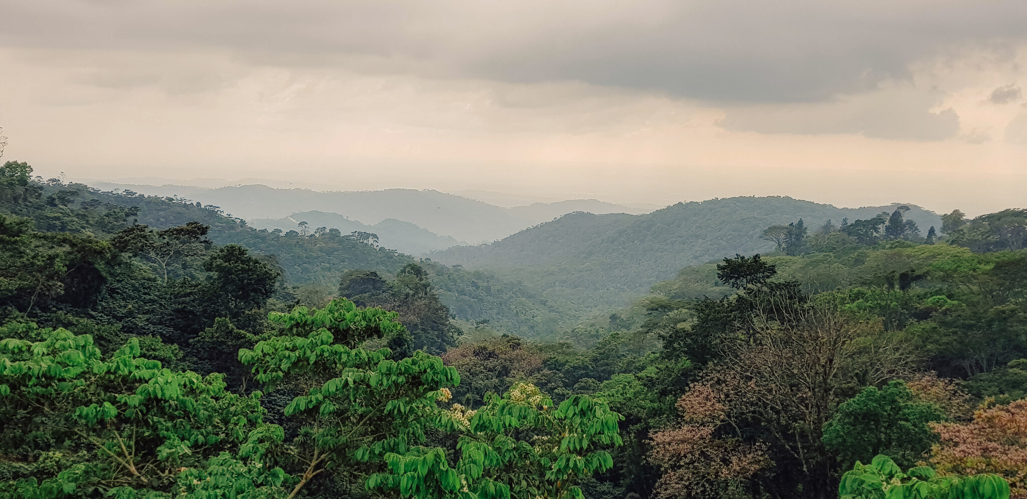 Finca Irlanda: where it all started for us