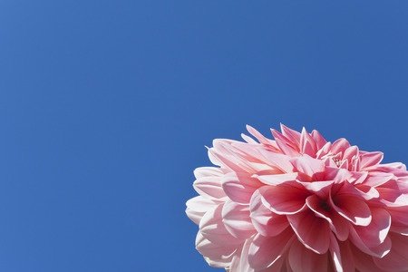 Boggart Pink space