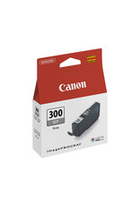 Canon Canon PFI-300GY (4200C001) ink grey 14ml (original)