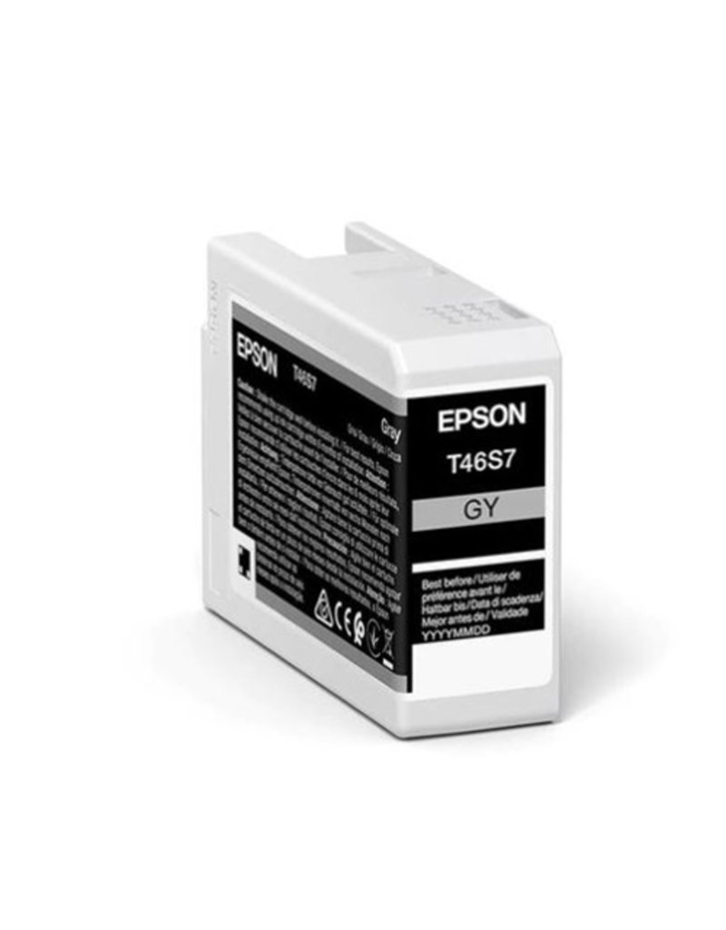 Epson Epson T46S7 (C13T46S700) ink grey 25ml (original)