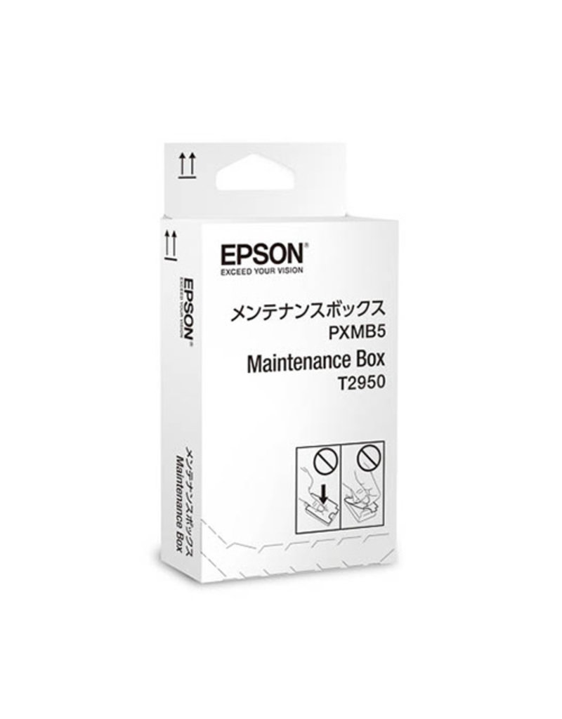 Epson Epson C13T295000 maintenance box 50000 pages (original)