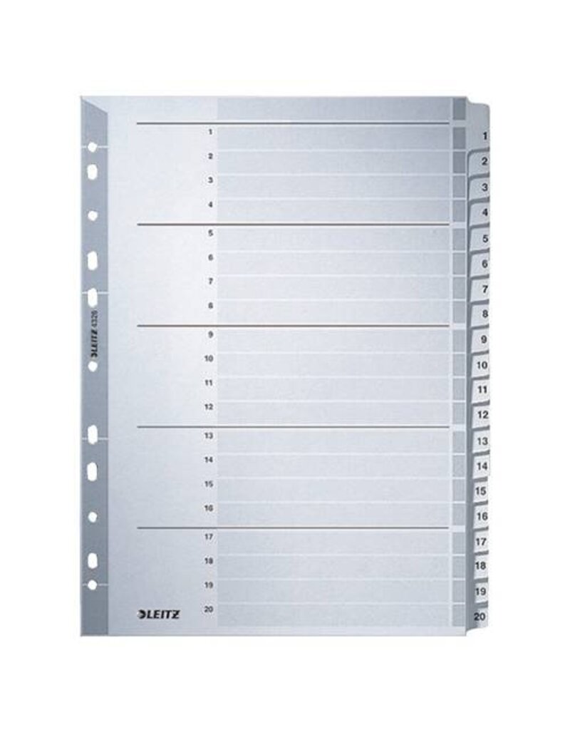 LEITZ Ordnerregister 1-20 A4 grau LEITZ 4326-00-00 Karton