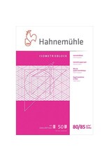 HAHNEMÜHLE Isometrieblock 80g/A4 rosa HAHNEMÜHLE 10 662 642 50 Blatt