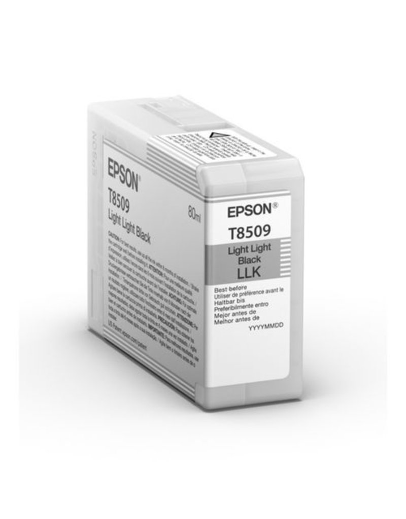 Epson Epson T8509 (C13T850900) ink light black 80ml (original)