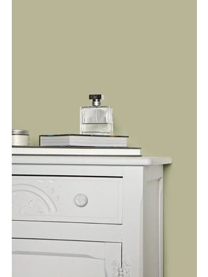 Farrow & Ball Farrow & Ball Ball Green No.75