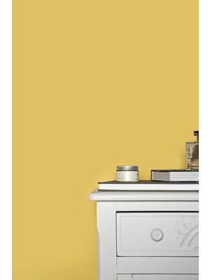 Farrow & Ball Farrow & Ball Ciara Yellow No. 73