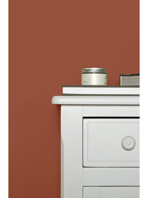 Farrow & Ball Farrow & Ball Terre d' Egypte No. 247