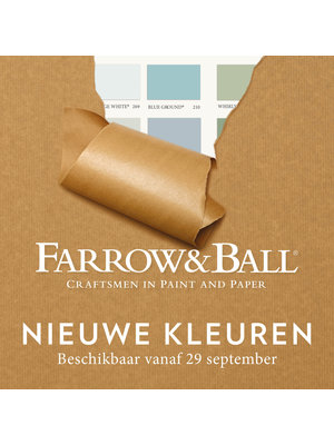 Farrow & Ball Farrow & Ball Bamboozle No. 304