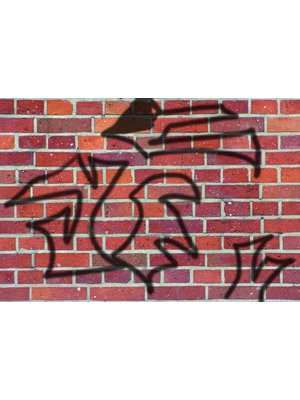 Rust-Oleum GraffitiShield WAX