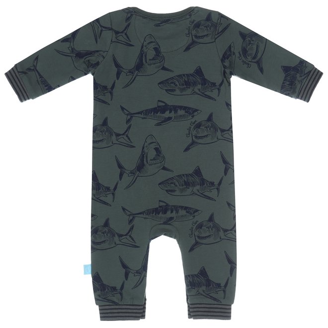 Charlie Choe Baby Boy Pyjamas Green Shark