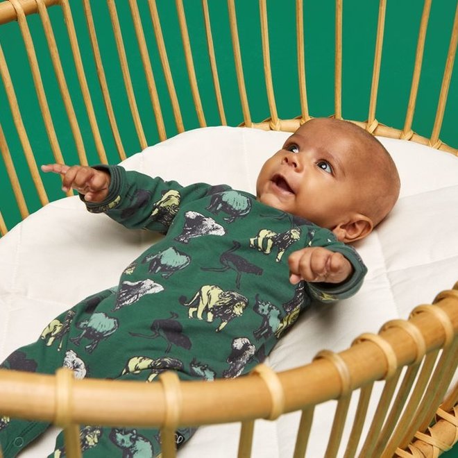 Charlie Choe Baby Junge Pyjamas Grün Tiere