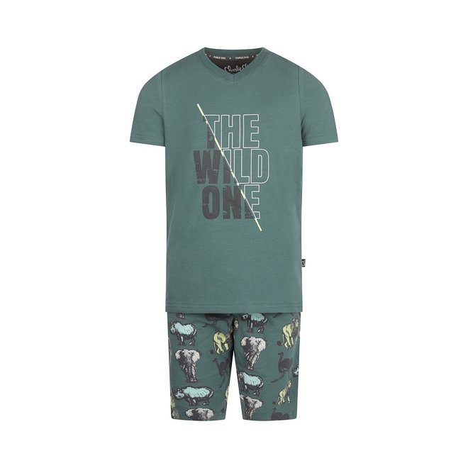 Charlie Choe Jungen Pyjamas Kurze Shorts Grün Tiere