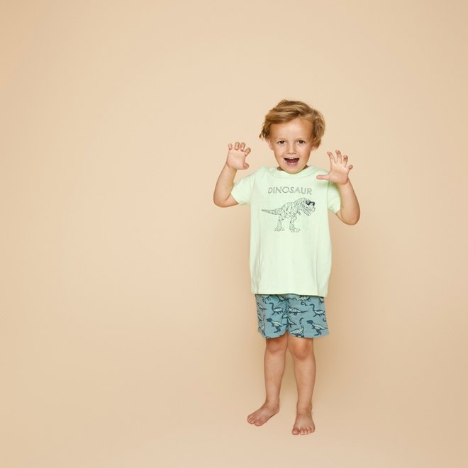 Simply Charlie Jongens Pyjama Shortama Groen Dino