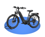 Fietsslot e-bike