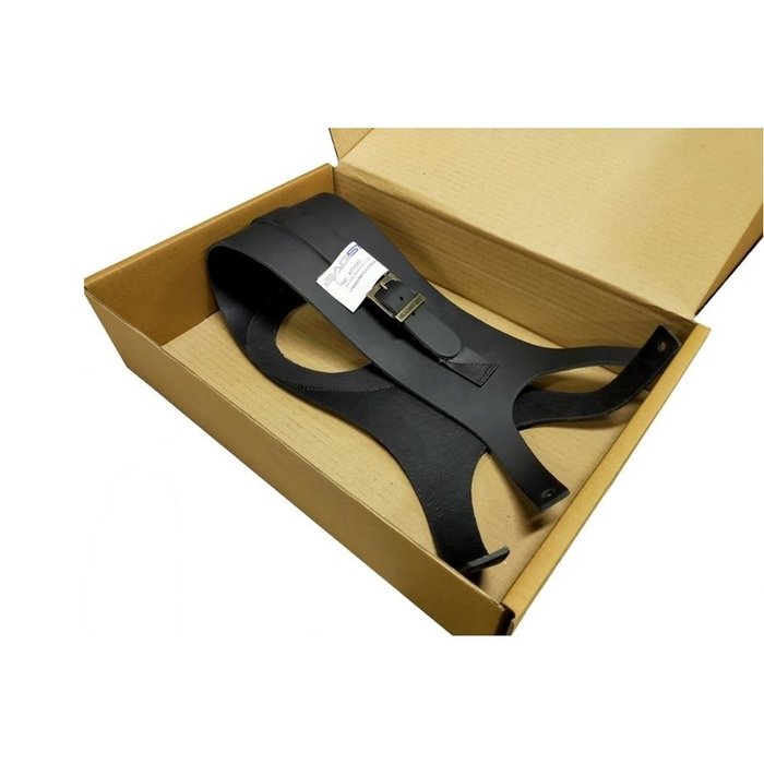 Tankpaneel  Kawasaki Z 900RS