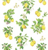 Kracht Küchentuch Halbleinen