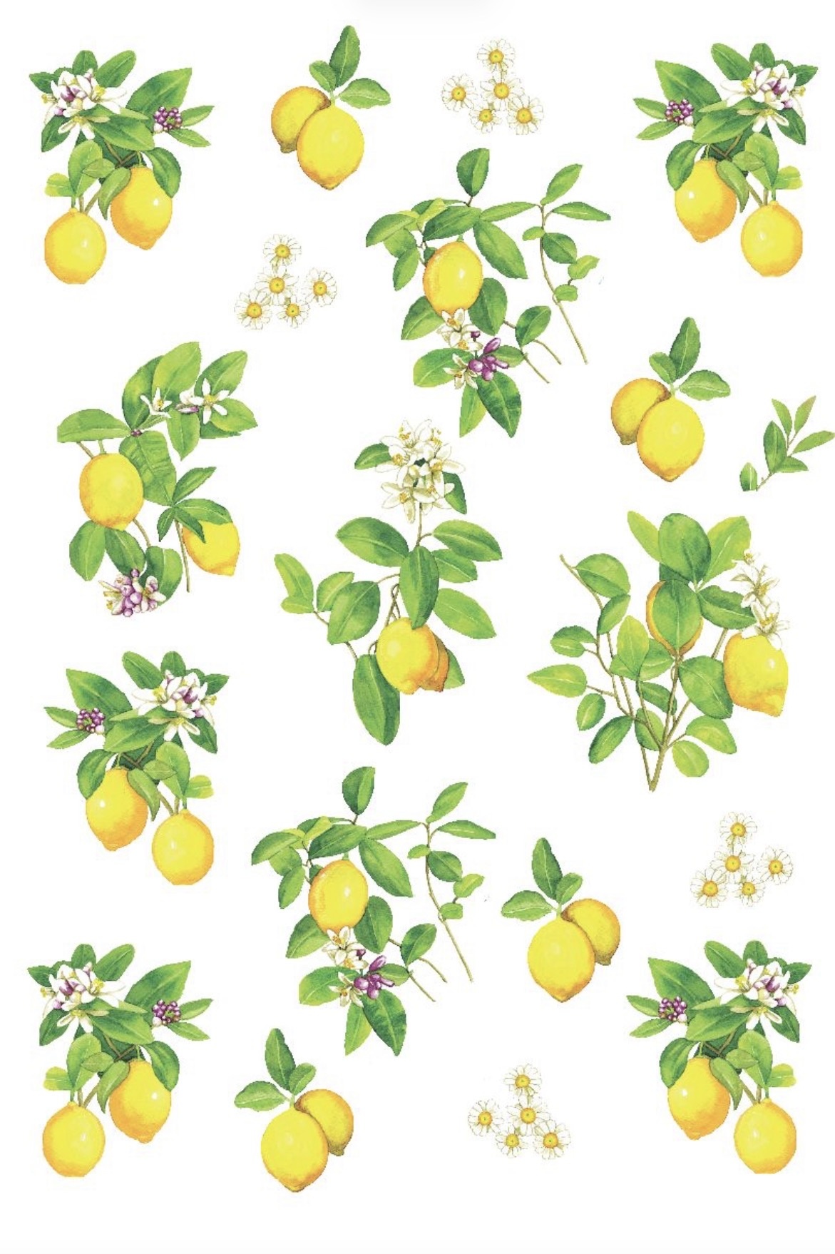 Kracht Küchentuch Halbleinen