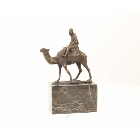 Camel and rider