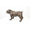 A bronze sculpture of a standing English Bulldog