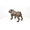 A bronze sculpture of a standing English Bulldog