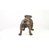 A bronze sculpture of a standing English Bulldog