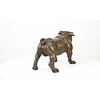 A bronze sculpture of a standing English Bulldog