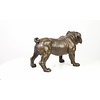 A bronze sculpture of a standing English Bulldog