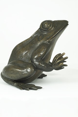 Producten getagd met bronze frog figurine
