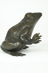 Products tagged with bronze frog sculpture