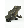 Bronze sculpture of a sitting frog