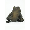 Bronze sculpture of a sitting frog