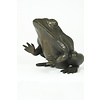 Bronze sculpture of a sitting frog