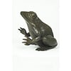 Bronze sculpture of a sitting frog