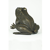 Bronzen sculptuur van een zittende kikker