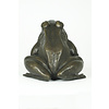 Bronze sculpture of a sitting frog