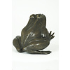 Bronze sculpture of a sitting frog