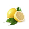 Bath House Body Wash Citrus Fresh 260 ml Bath House Body Wash Citrus Fresh 260 ml