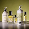 Acca Kappa Mandarin & Green Tea Body Lotion 300 ml Acca Kappa Mandarin & Green Tea Body Lotion 300 ml