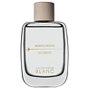 Montecristo Deleggend Blanc Eau de Parfum 100 ml Montecristo Deleggend Blanc Eau de Parfum 100 ml