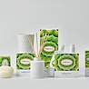 Claus Porto Soap Bar Mini Alface Green Leaf 50g Claus Porto Soap Bar Mini Alface Green Leaf 50g
