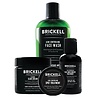 Brickell Men's Products Acne Controlling System Brickell Men's Products Acne Controlling System