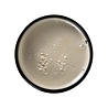 Arcadian Grooming Clay Pomade 115g Arcadian Grooming Clay Pomade 115g